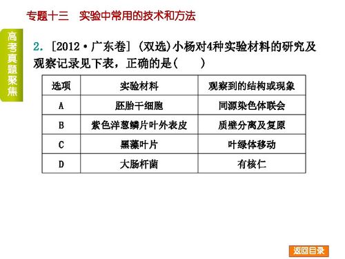 2014屆高考生物二輪復(fù)習(xí)專(zhuān)題十三 實(shí)驗(yàn)中常用的技術(shù)